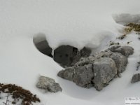 2026-03-21 Monte Ginepro 110